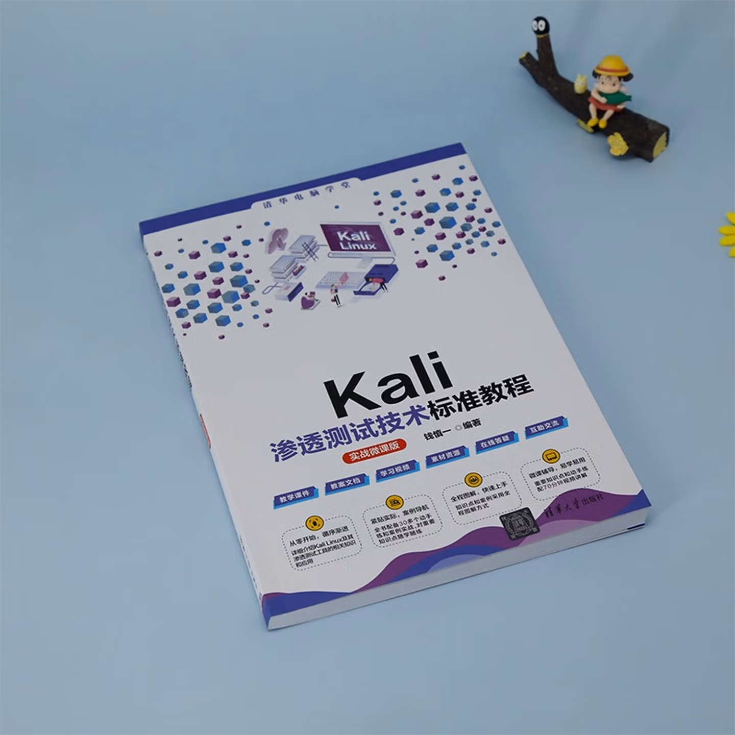 Kali渗透测试技术标准教程