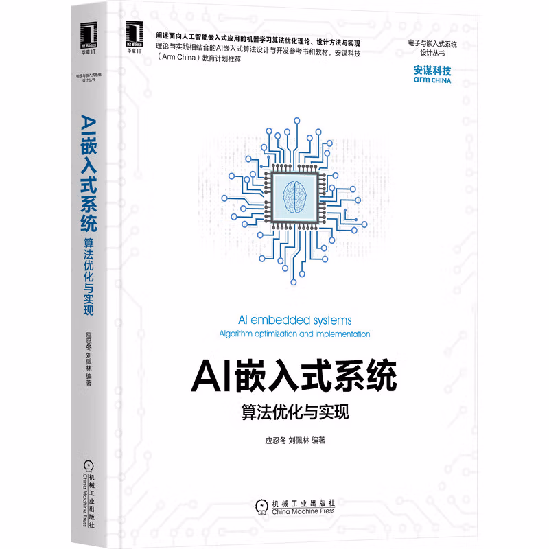 AI嵌入式系统：算法优化与实现